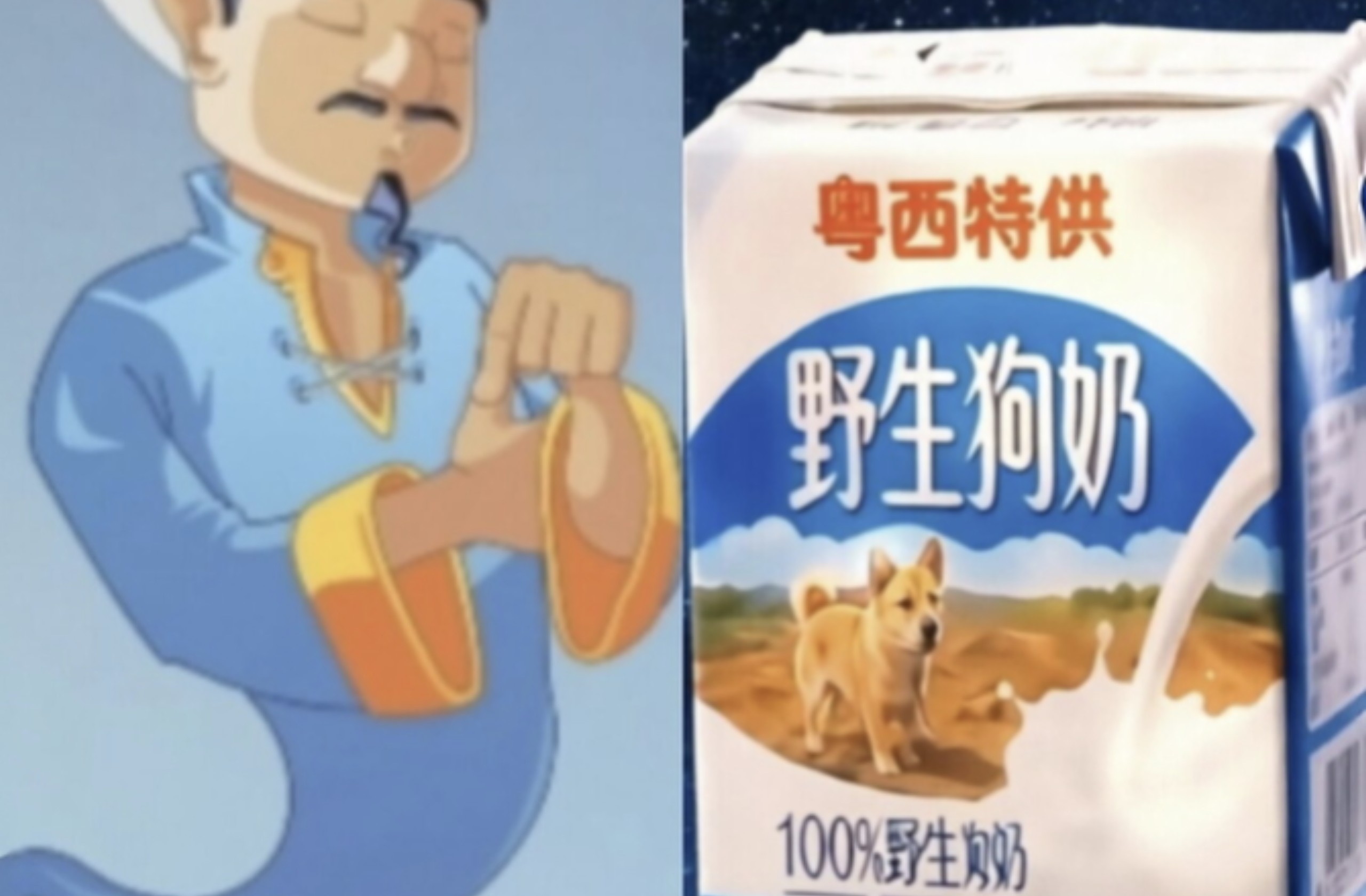 网络天才可以猜到野生狗奶吗？
