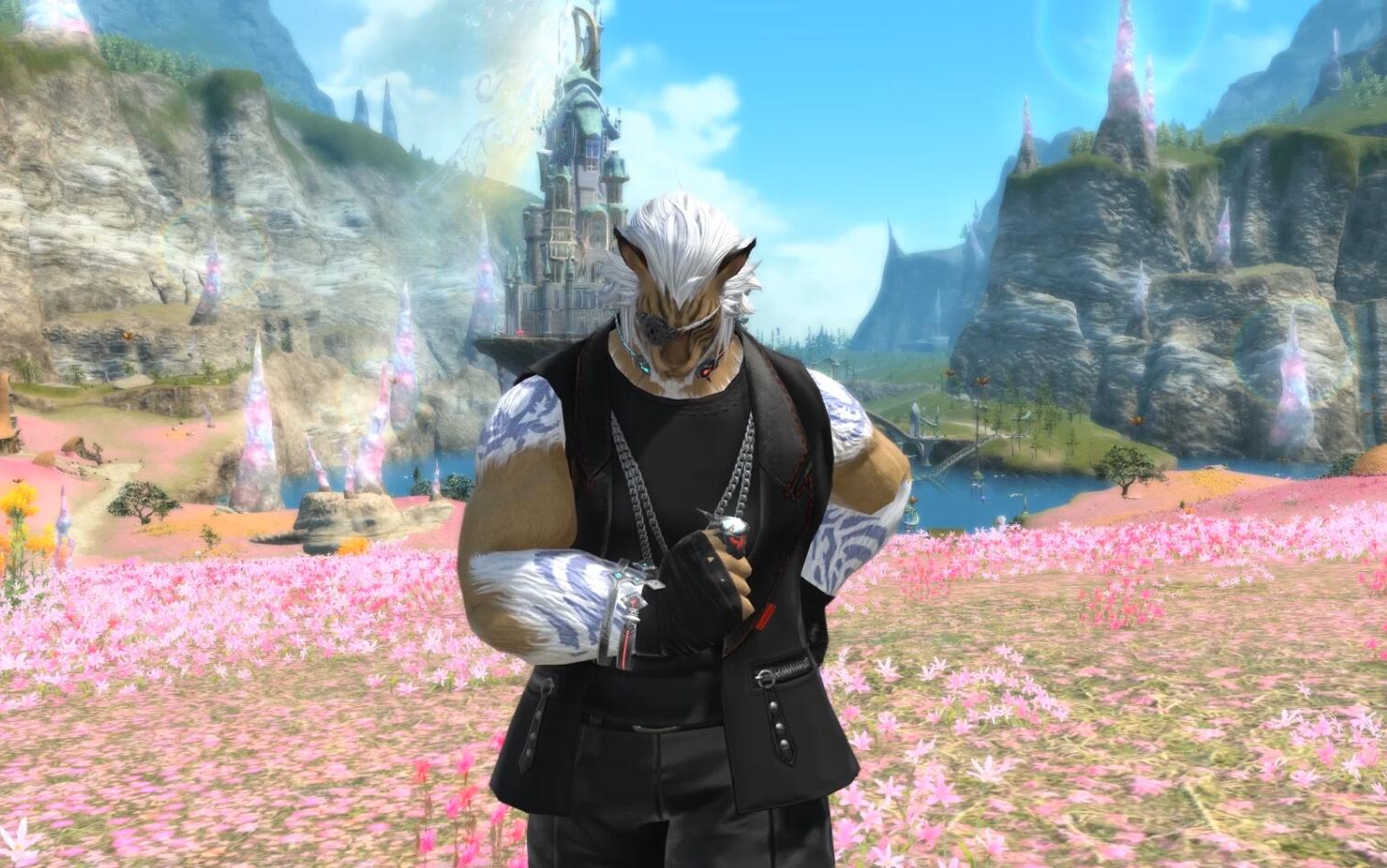 【ff14大猫mod慎入】king