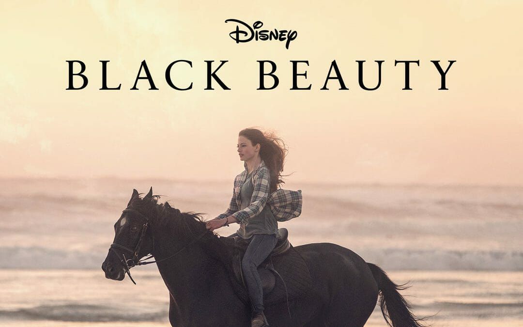 【英语】入门级动画版《黑骏马》Black Beauty | 跟读训练哔哩哔哩bilibili