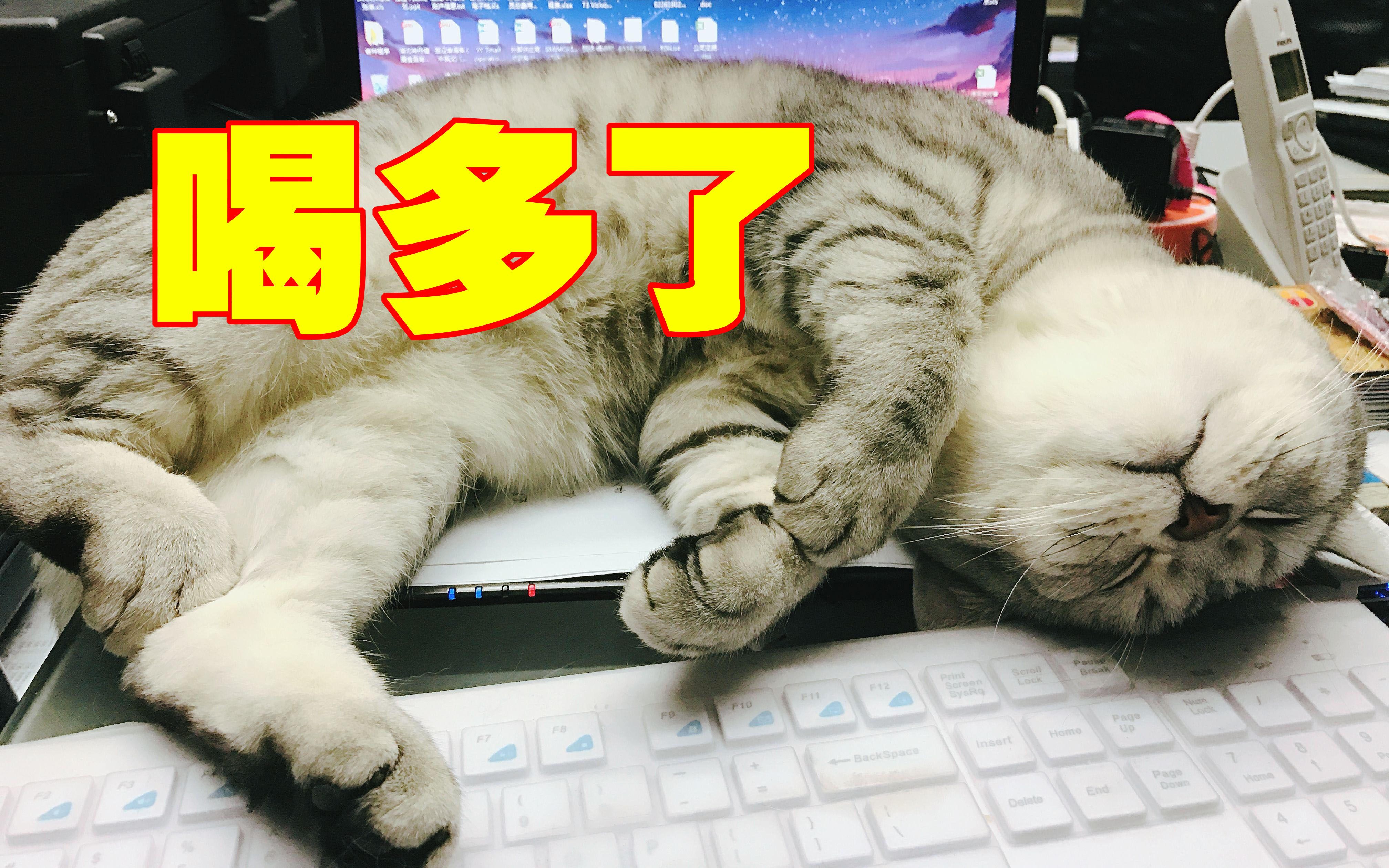喝多了谁都不服,就扶墙