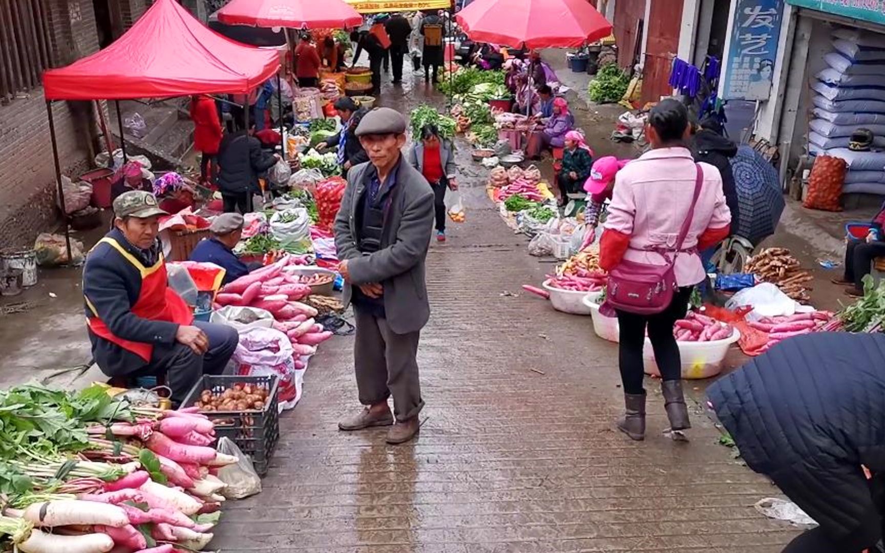 地道的云南农村集市,真正的无污染蔬菜,非常有生活气息