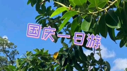 广州大夫山一日游哔哩哔哩bilibili