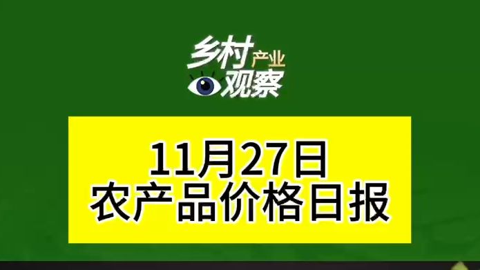 11月27日农产品价格日报来啦~哔哩哔哩bilibili