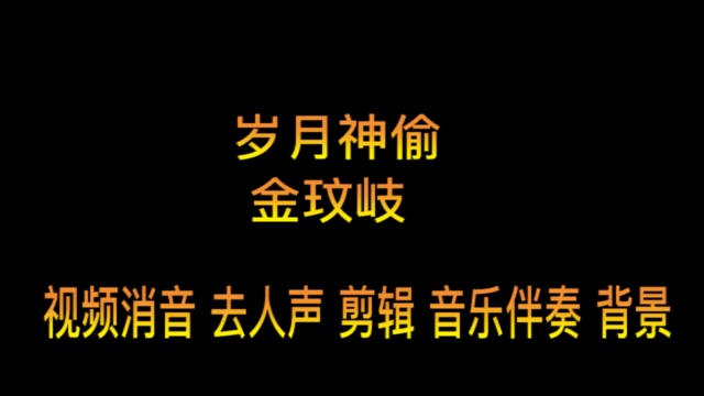 岁月神偷金玟岐纯伴奏bgm音乐歌曲消音伴奏pr视频去人声剪辑音乐剪辑