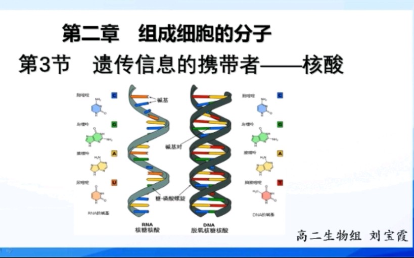 [图]高中生物一轮复习必修一第二章第3节遗传信息的携带者—核酸