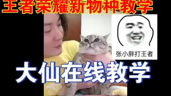 大仙开发新教学，竟然教张大胖打王者！而张大胖竟然是一只猫！