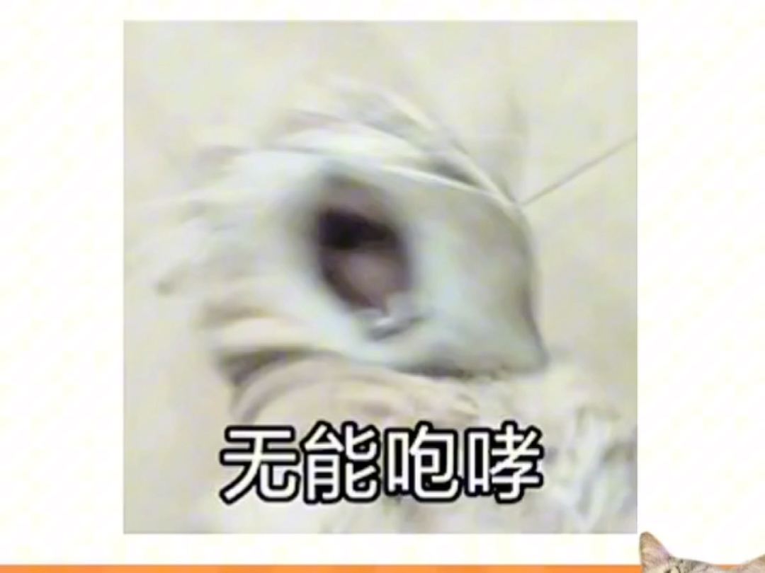 双女主也这么香,侄女掰弯了