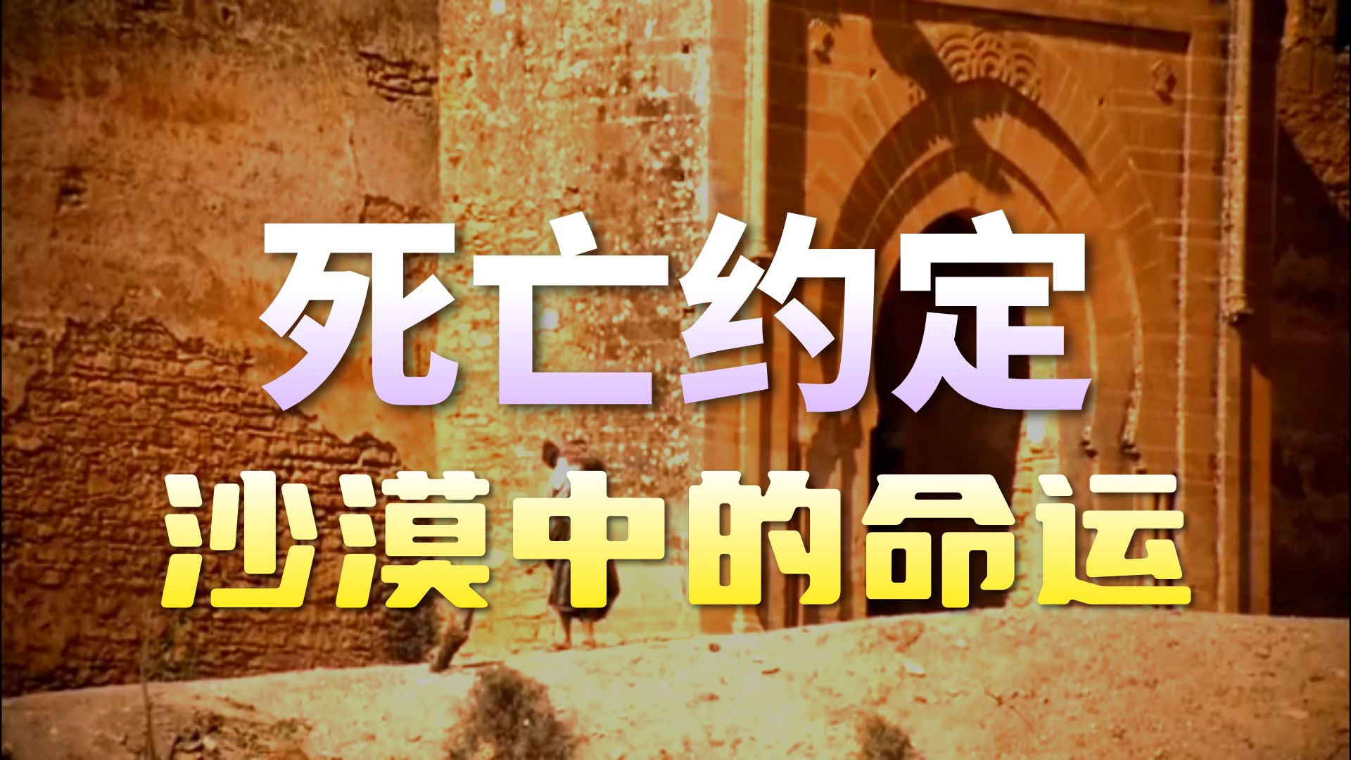 4 死亡约会【第十一季】