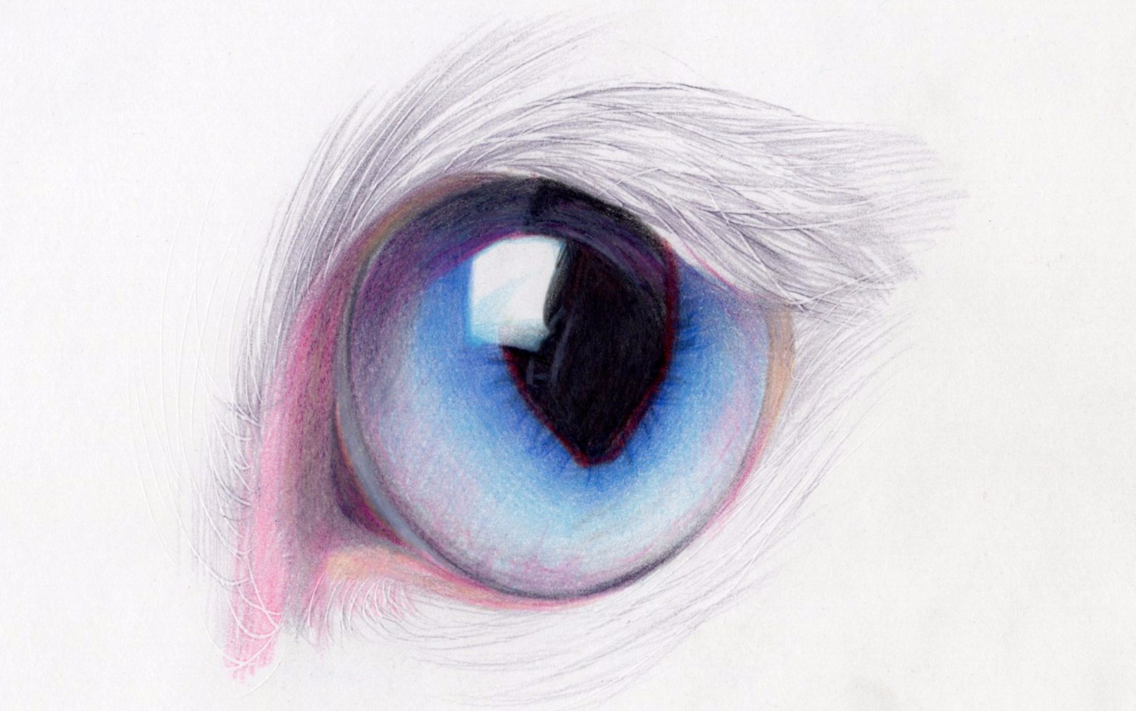 彩铅画教程 猫眼睛