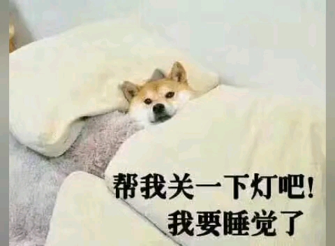 表情包存款哔哩哔哩bilibili