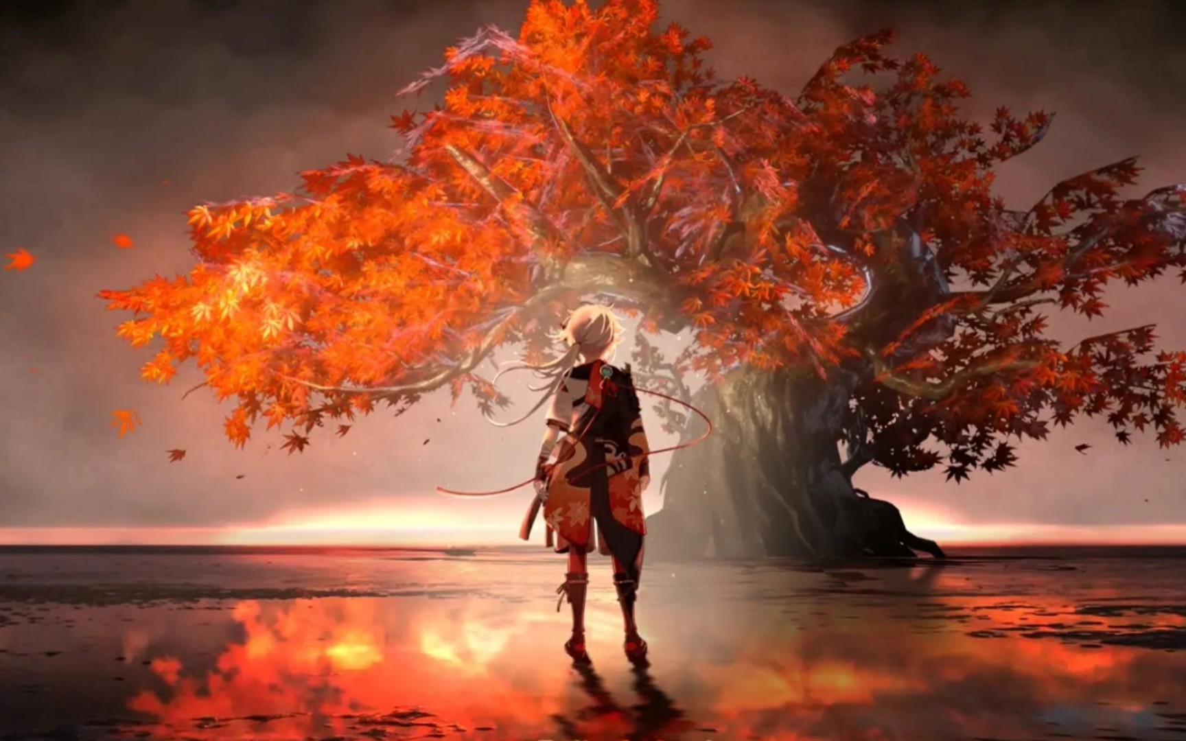 风恋歌谁能告诉我这风将吹往何方