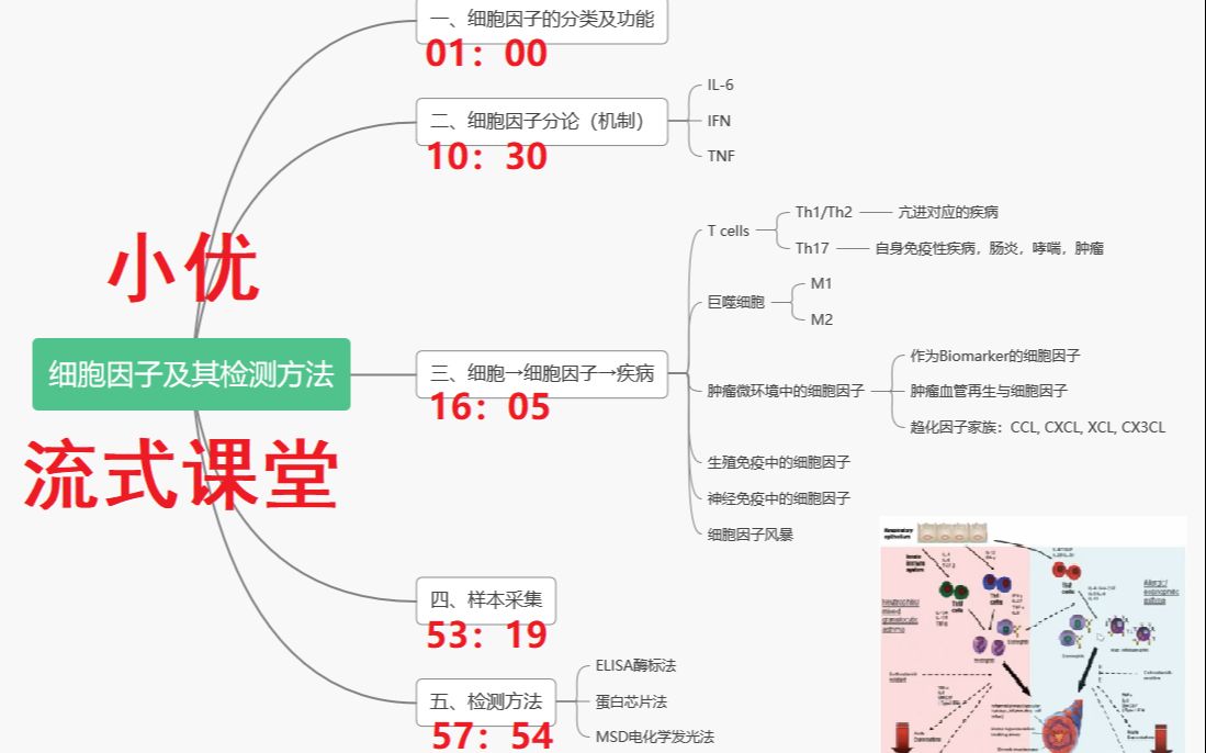 【知识搬运】细胞因子、机制及检测方法 流式课堂哔哩哔哩bilibili