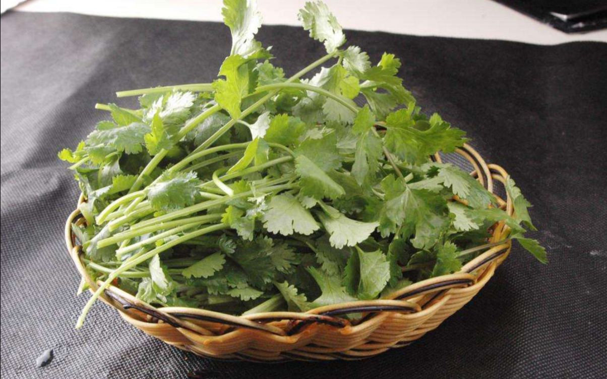 医生点名称这几种人吃香菜是没病找病!快看你在其中吗?