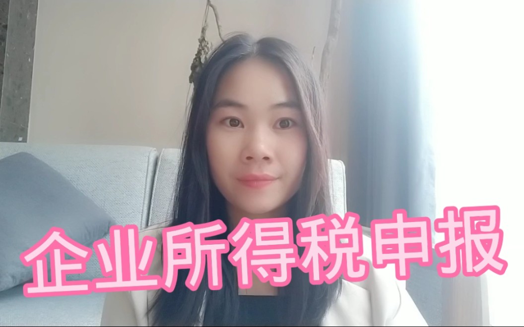 企业所得税申报步骤及数据填写哔哩哔哩bilibili