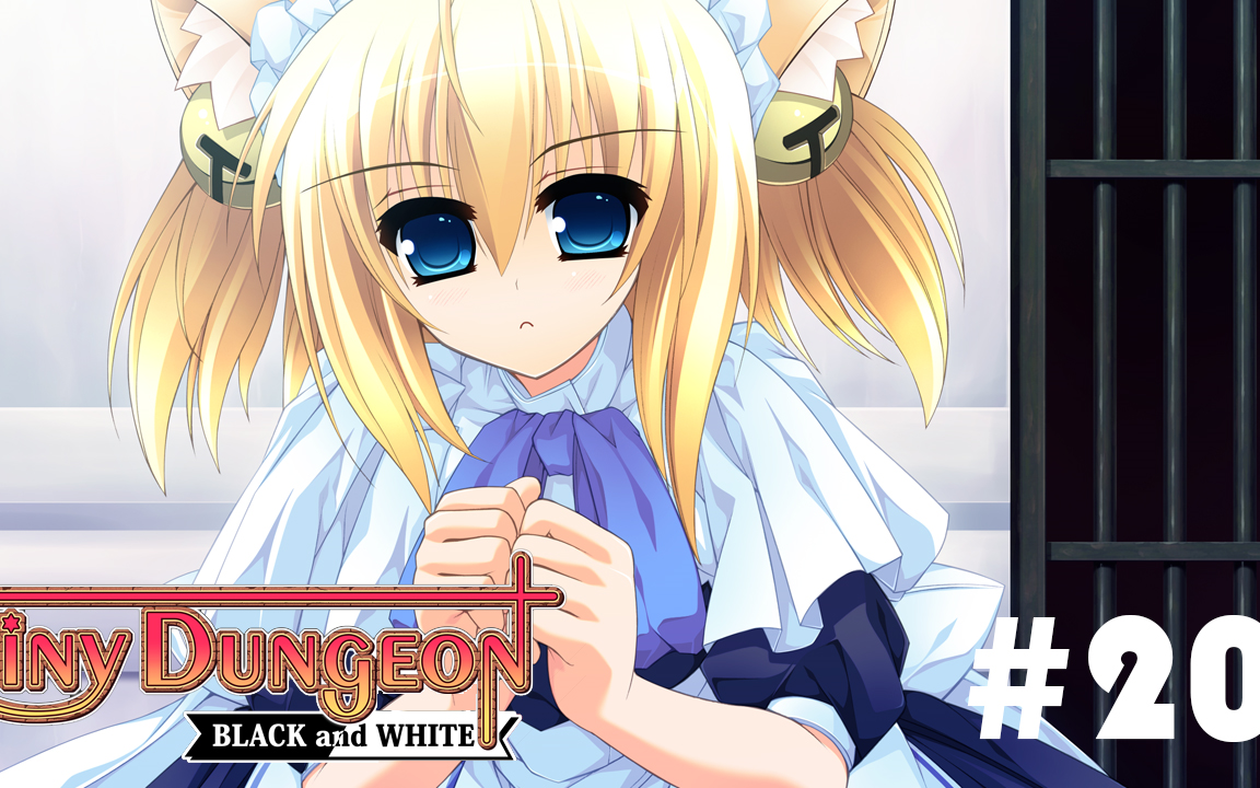奋力一搏 黑白羽翼(tiny dungeon black and white 魔族篇 20