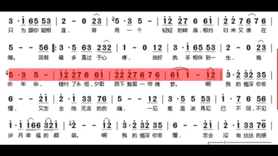 [图]《我的情深你若懂》王建荣经典歌曲、动态谱伴奏、可定制