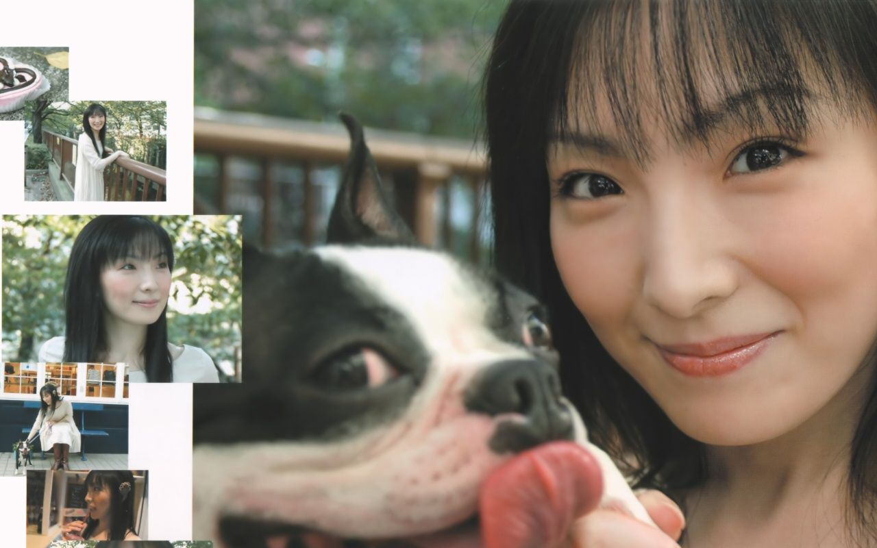 街霸5cv折笠富美子卡雅春丽vs若本规夫门维嘉