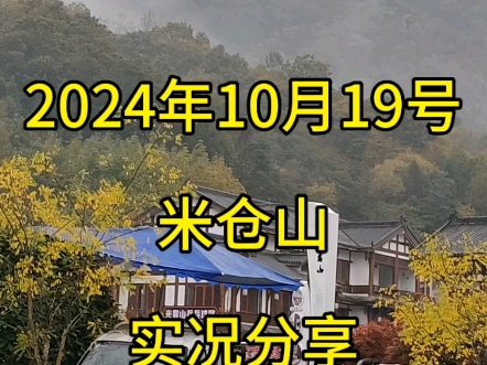 2024年10月19号,米仓山实况分享哔哩哔哩bilibili