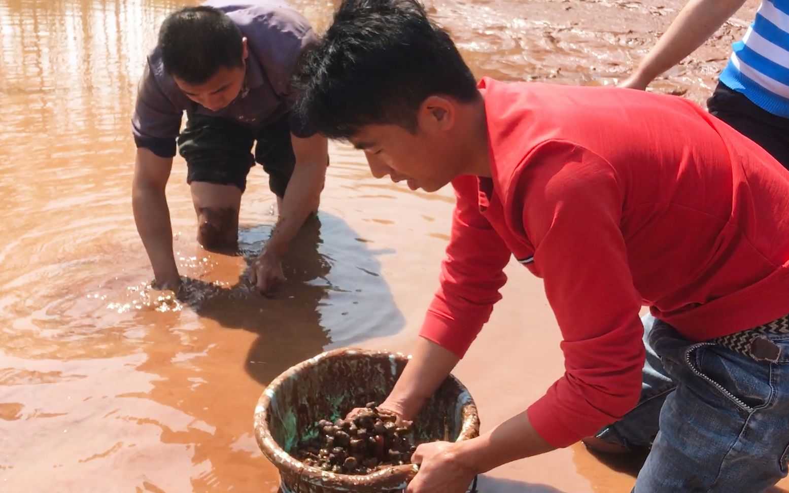 农村一帮农村人去摸石螺,一手抓去一大把特别多,你吃过吗?