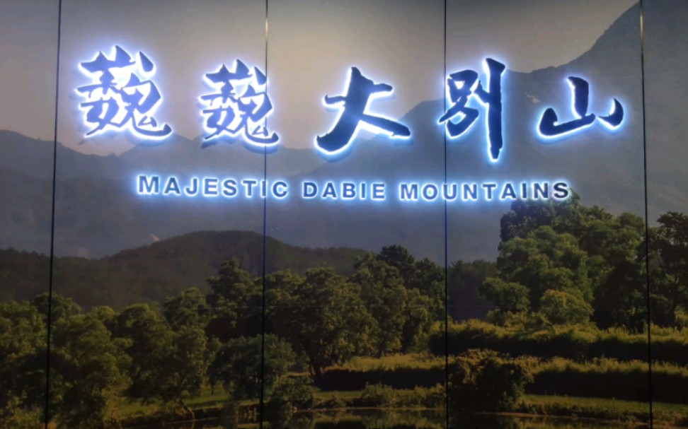 今天参观了黄冈大别山,地质博物馆,见识到了很多新奇事物