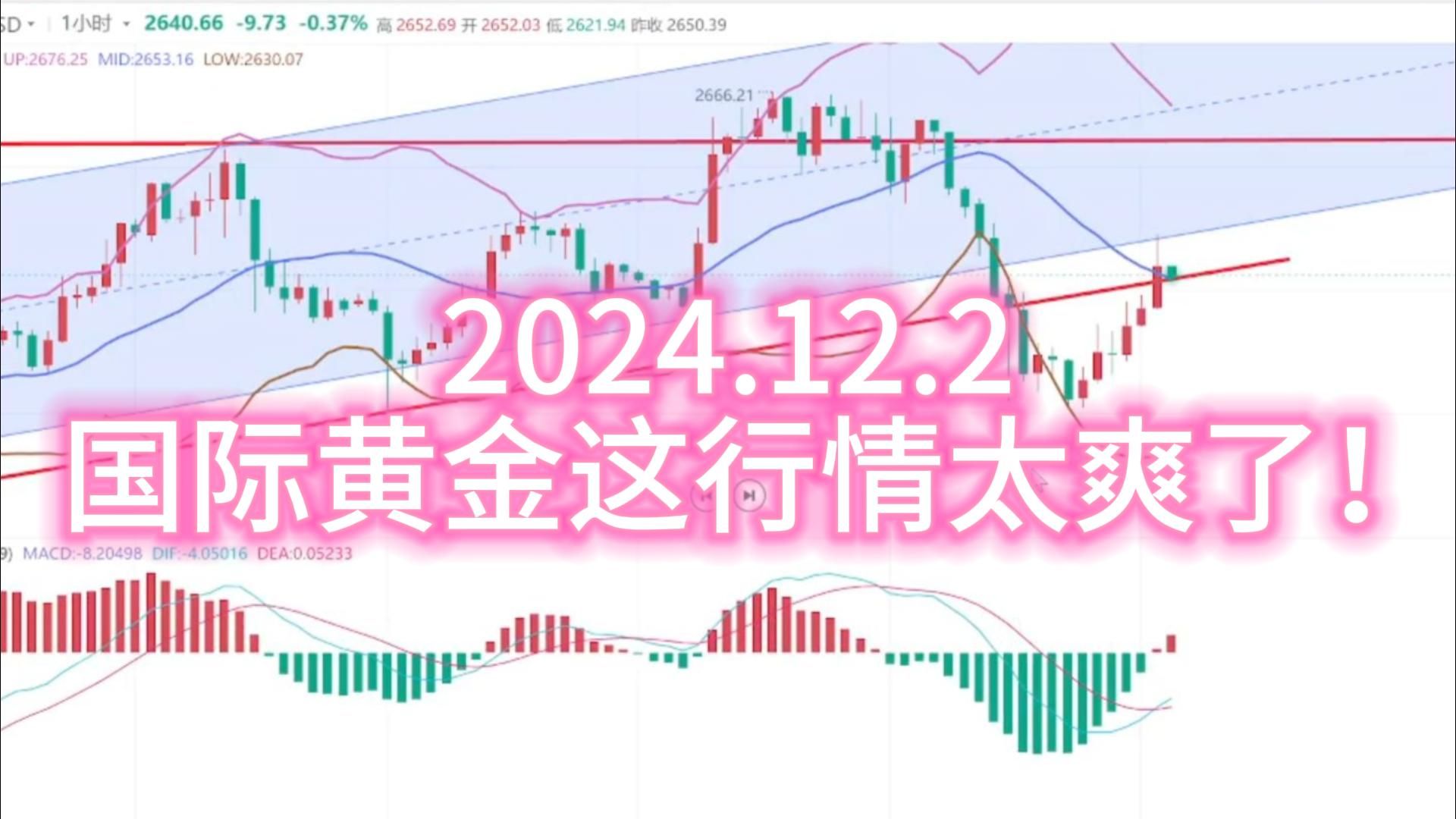 国际黄金这行情太爽了!哔哩哔哩bilibili