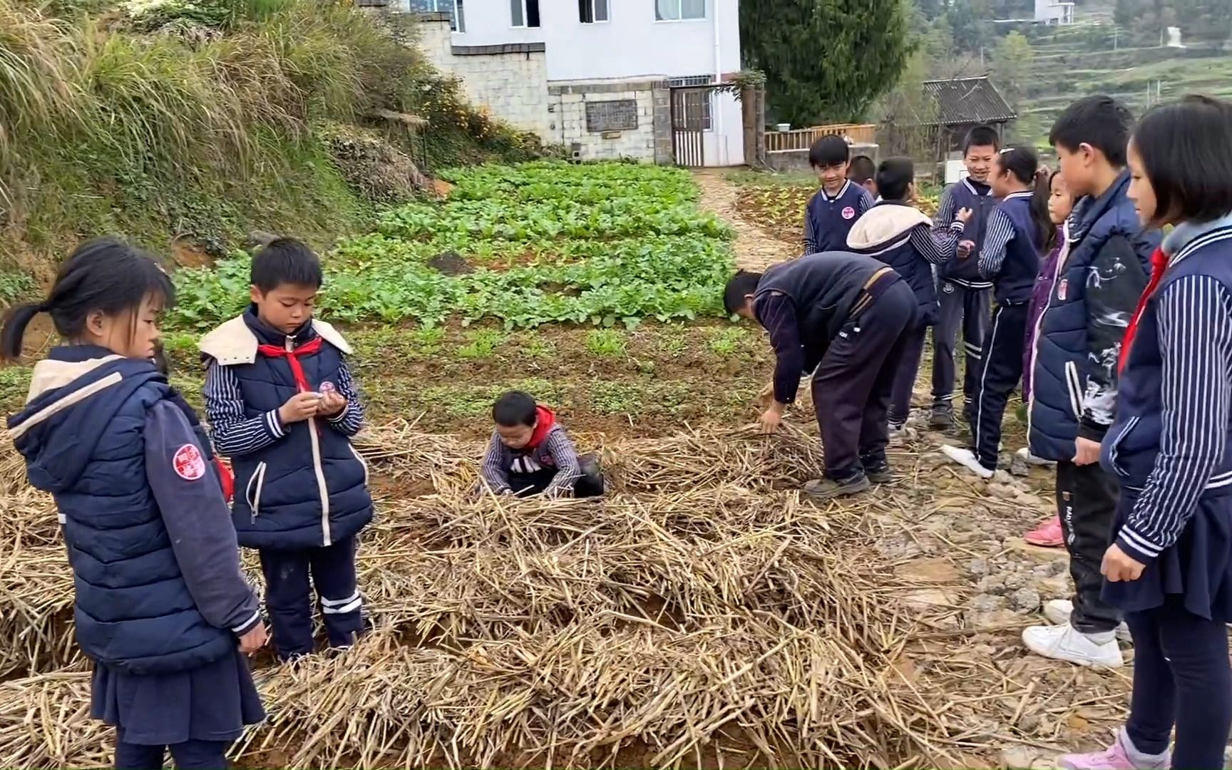 [图]农耕课课堂视频