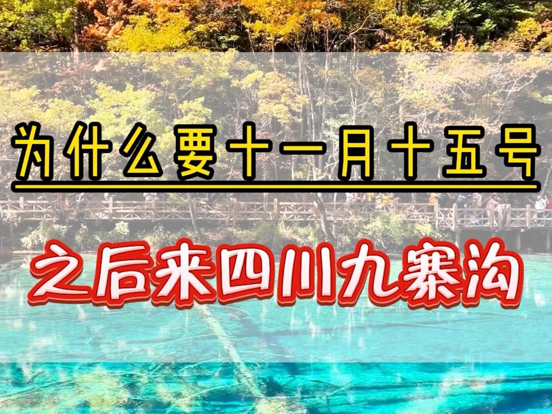 为什么一定要11月15号以后来四川九寨沟.因为这个时候天气很好,特别舒服,而且是大太阳.但是来九寨沟的朋友需要带轻薄的羽绒服或者冲锋衣.因为早...