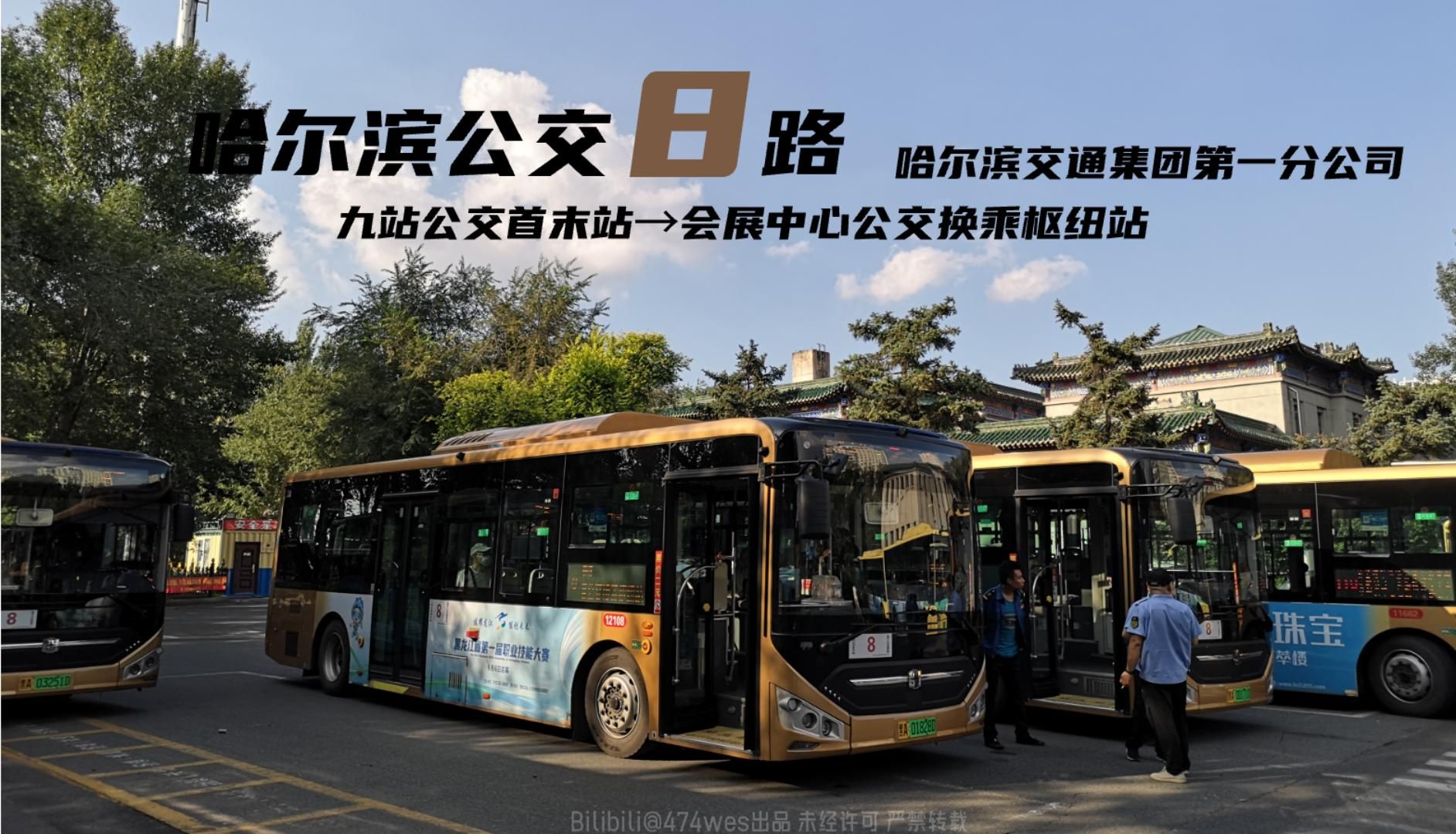 【再次追寻夏天】哈尔滨公交8路pov(九站公交首末站→会展中心公交