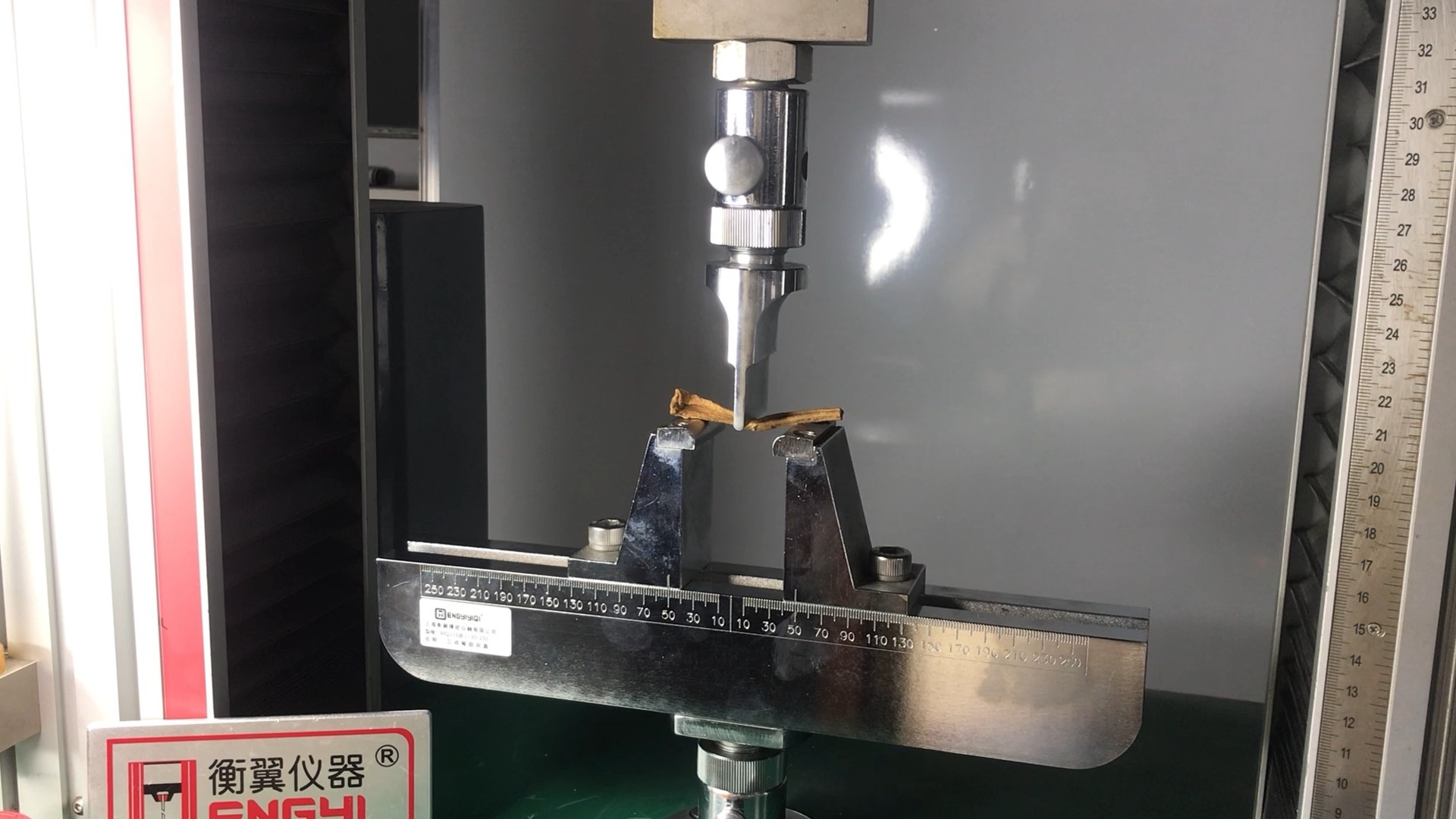 植物根茎三点弯曲试验植物弹性测试