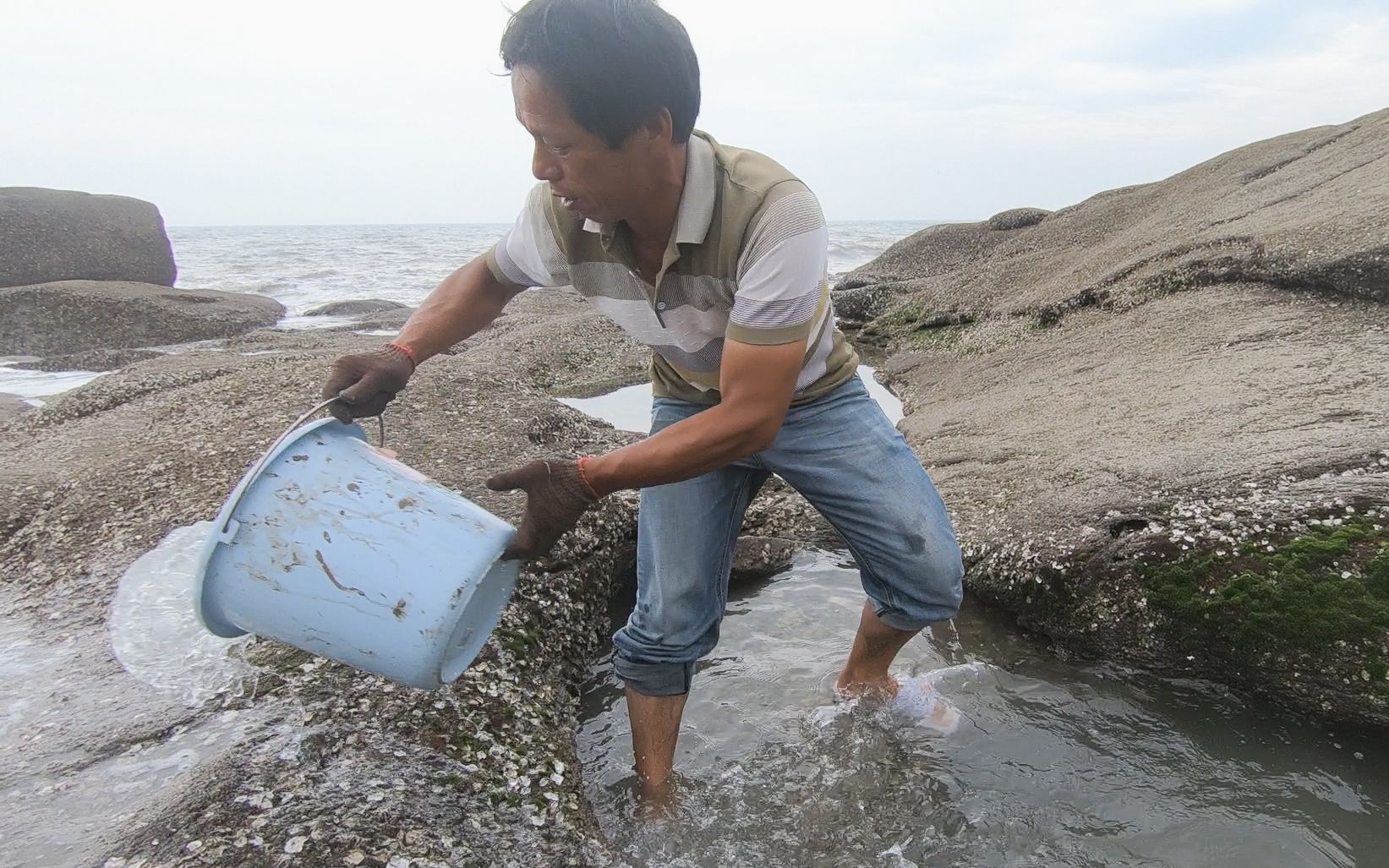 阿雄带铁钩登荒岛赶海,"神器"铁钩一钩一个准,上岸就拿去卖钱
