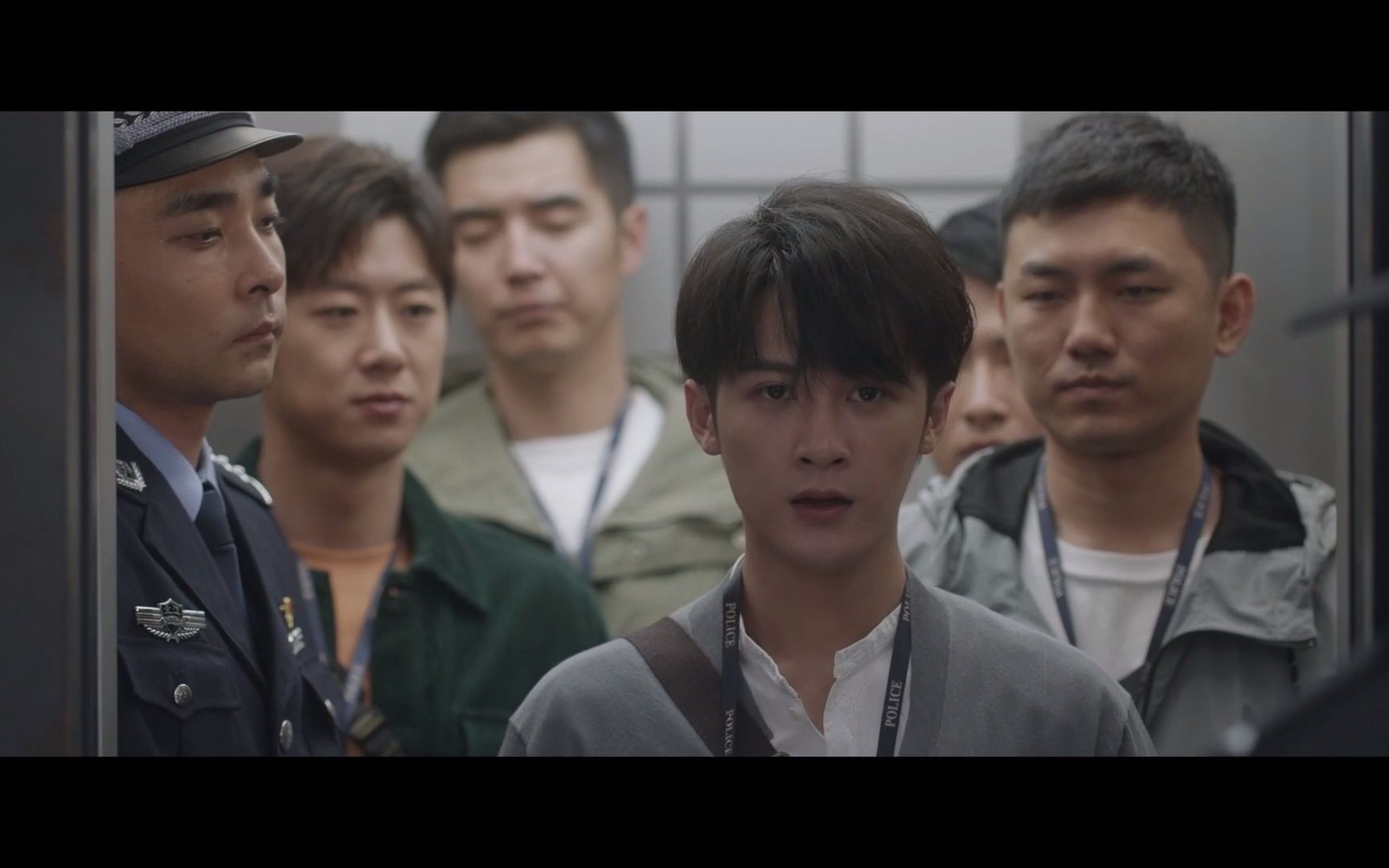 猎罪图鉴猫猫追狗狗狗狗被追到还很傲娇