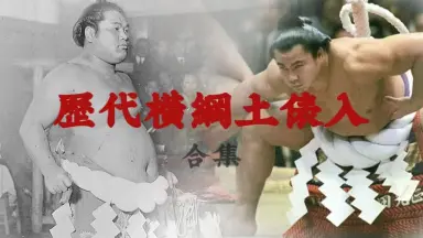 千代大海-哔哩哔哩_Bilibili