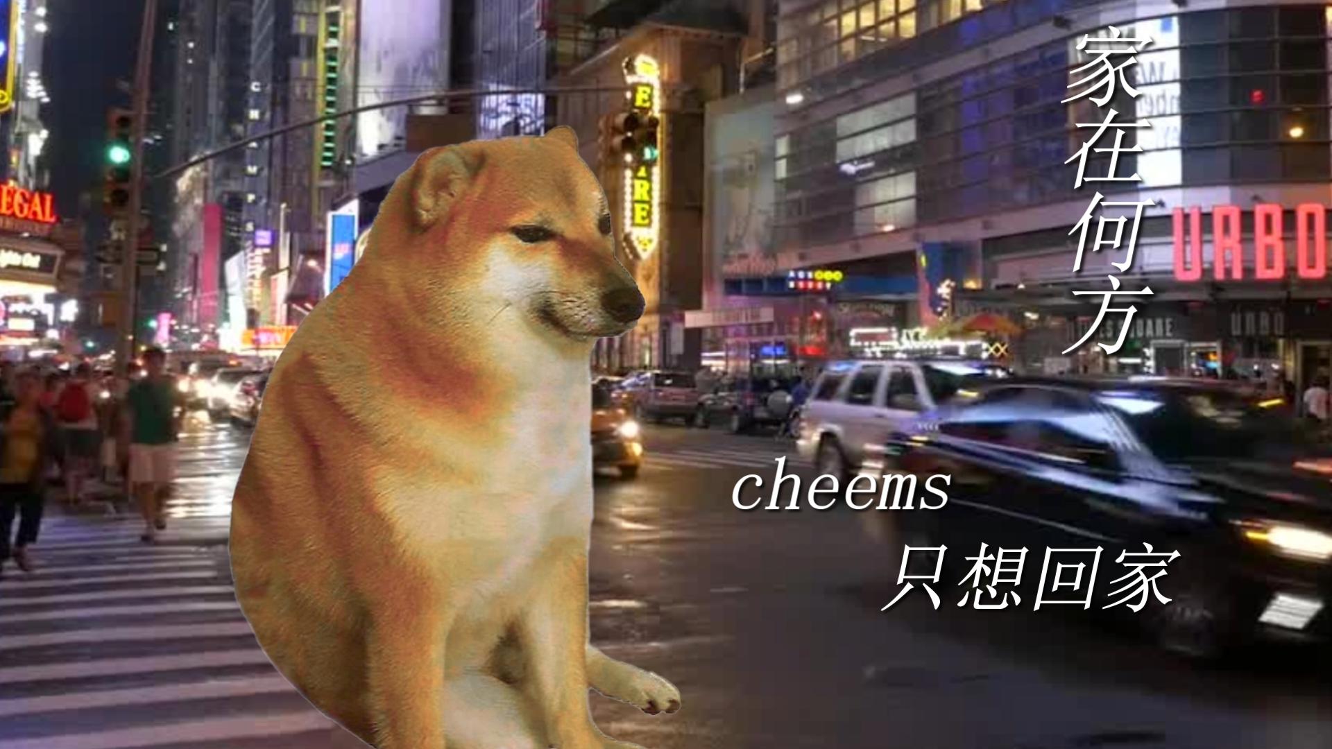 这一天,cheems想家了