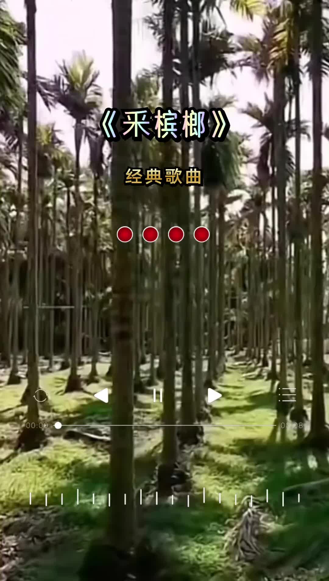 音乐分享经典歌曲采槟榔感谢聆听