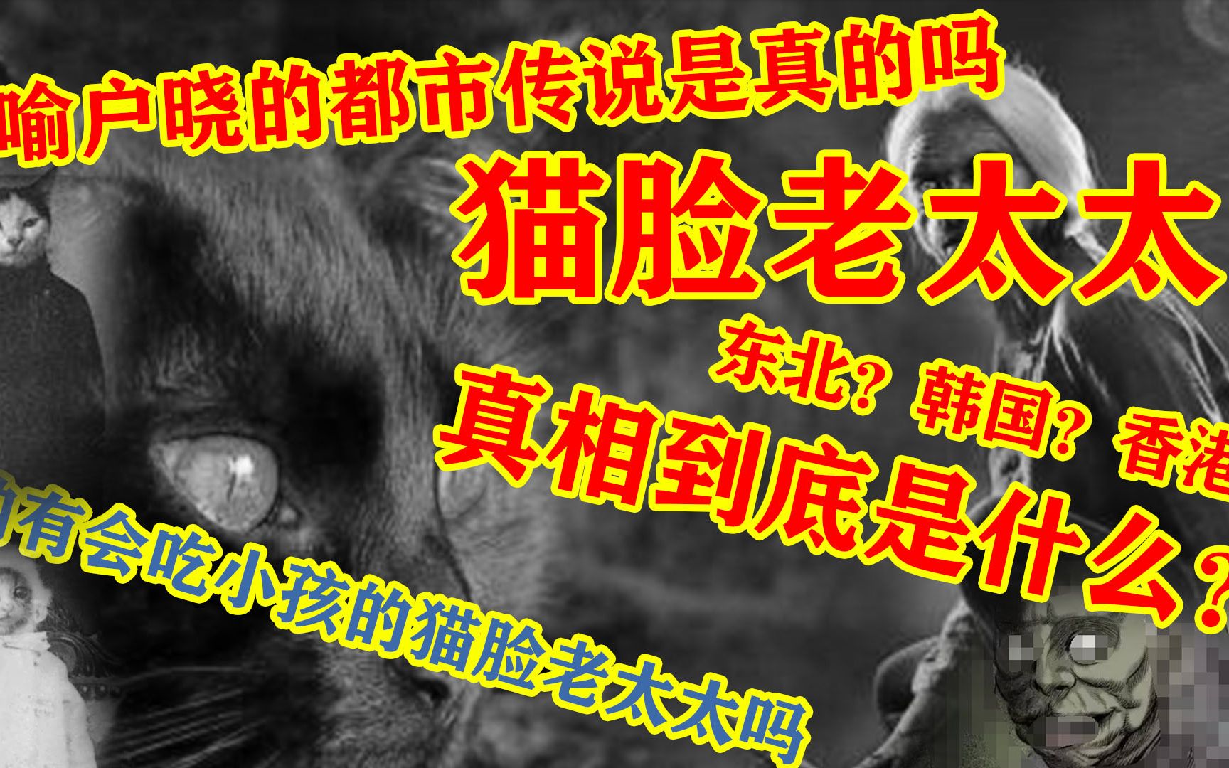 东北都市传说:猫脸老太太是真实存在的吗?它的真相到底是什么?哔哩哔哩bilibili