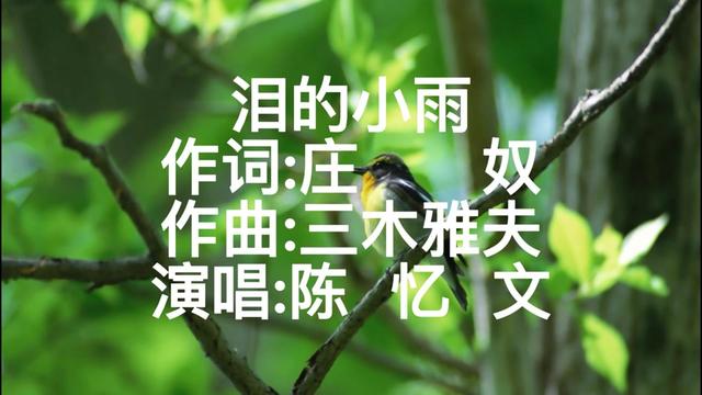 [图]泪的小雨(陈忆文)