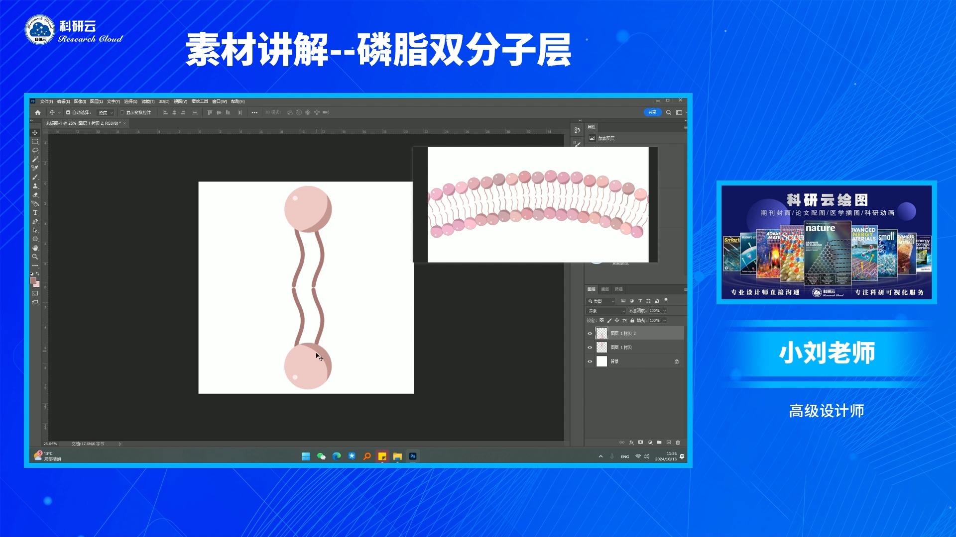 【PS公开课】素材讲解第三期:磷脂双分子层哔哩哔哩bilibili