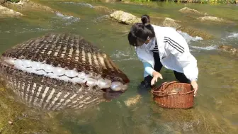 Скачать видео: 特殊任务开启！女孩展开寻宝行动，引发惊喜连连！