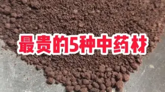 下载视频: 最贵的5种中药材