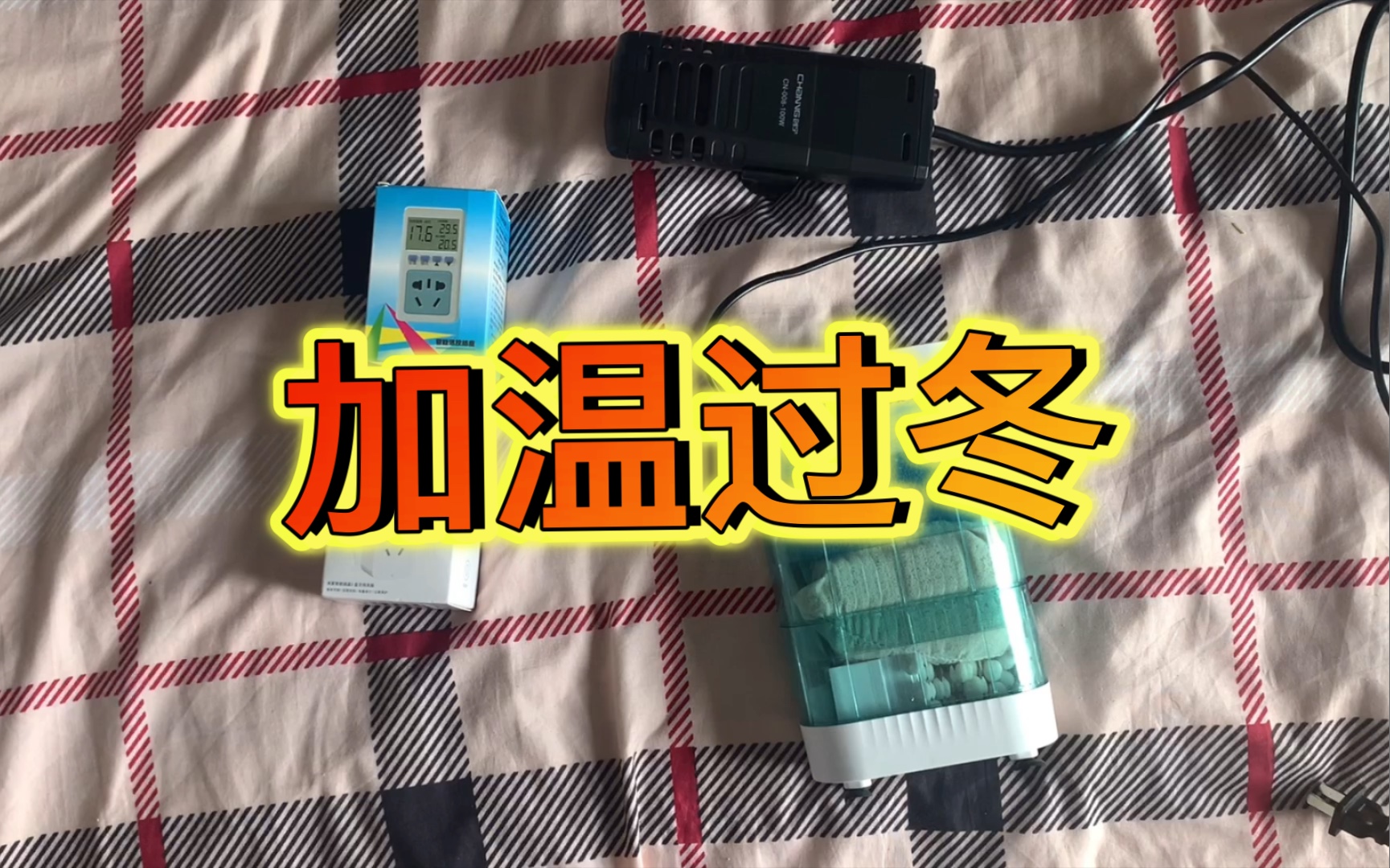 乌龟们开始加温过冬了