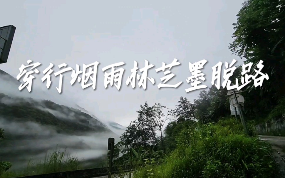 [图]#旅行 穿行烟雨林芝墨脱路｜全程记录 ｜一路风光无限，且行且惊险