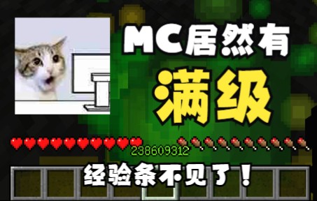 居然有满级?MC各种经验大小排名单机游戏热门视频