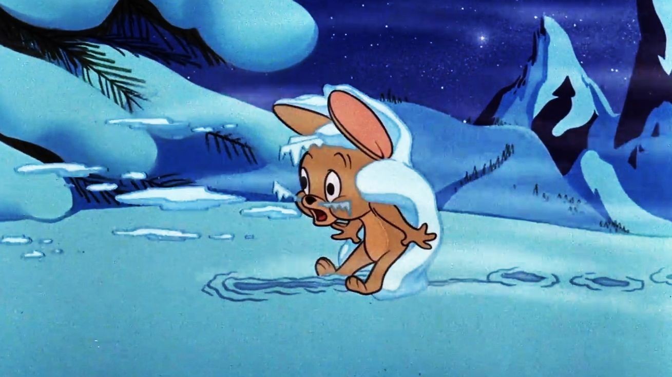 “我期待的不是雪”