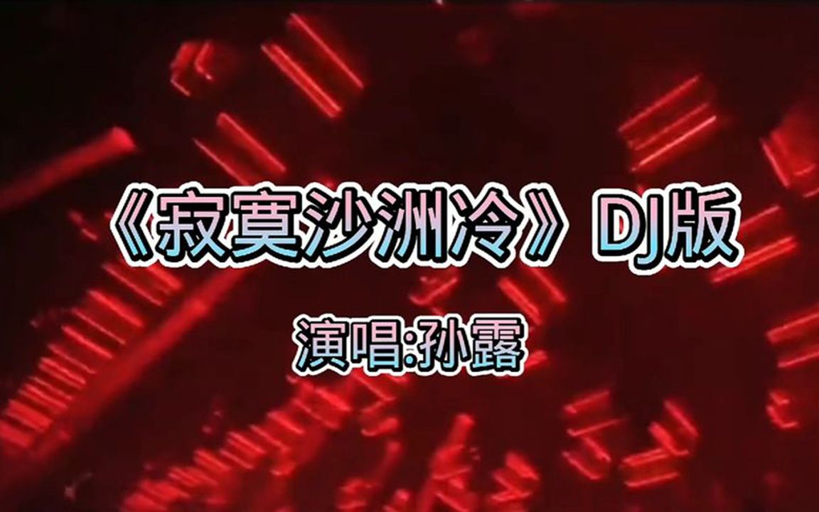 [图]【劲爆DJ舞曲】孙露 - 寂寞沙洲冷 (DJ阿福版)