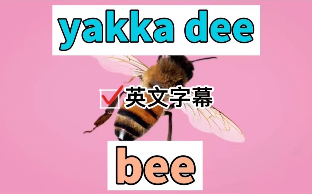 [图]BBC英文启蒙动画【开口神器】yakka dee全季之动物合辑（英文字幕）