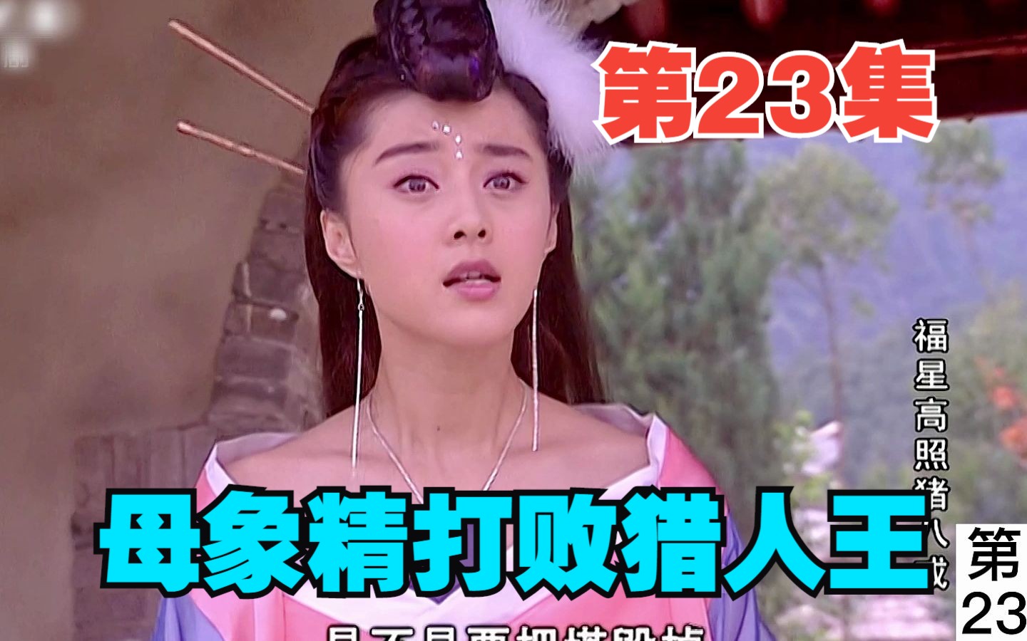 第23集|母象精打败猎人王哔哩哔哩bilibili