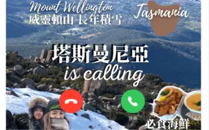 Video herunterladen: 【Day 3🇦🇺塔斯曼尼亞】最潔淨空氣@威靈頓雪山🗻airbnb🏠屋主建築設計師😱最純淨海鮮🦑必食本地小店Honey Cake！澳洲超市🛒夜遊塔斯