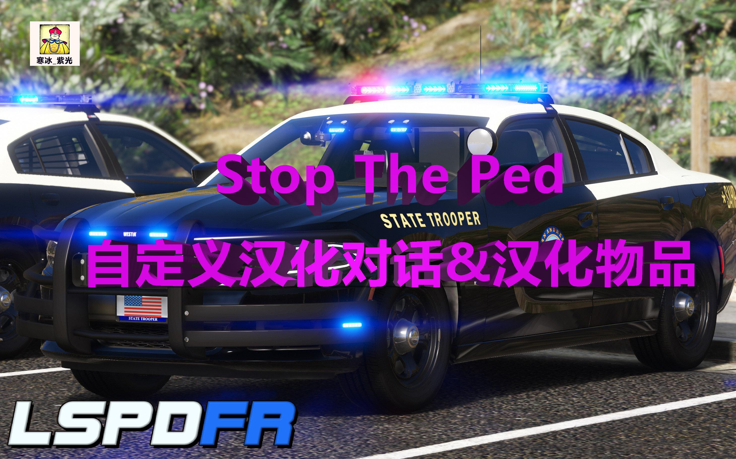 【Stop The Ped/行人停止】几分钟学会STP插件自定义&汉化对话教程