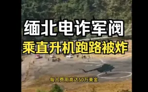 下载视频: 缅北电诈军阀乘直升机逃跑，一路狂奔向直升机，刚起飞就被炸毁