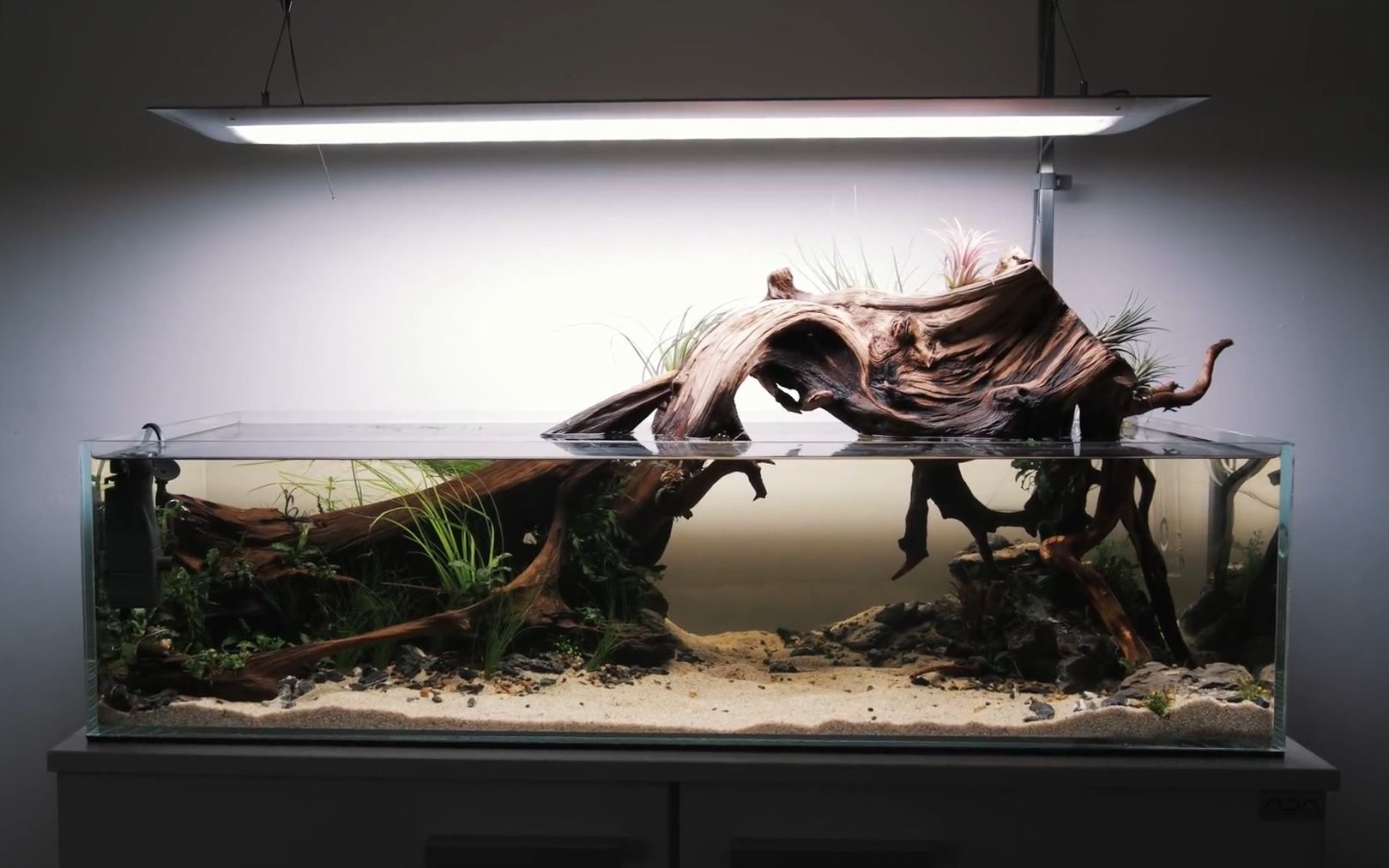 [图]Great Wood shallow aquarium - Aquascaping tutorial